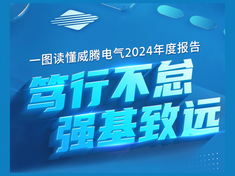 一图读懂和记官网电气2024年度报告
