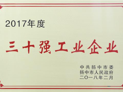 和记官网集团提升2017年度扬中市“三十强”前五位